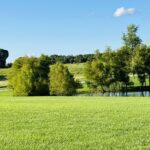 000 Shannon Lake Estates  Anna IL 62906-0000