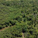 75 acres m/l 13 Walker Twp   West Point IL 62380