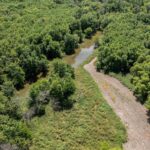 75 acres m/l 13 Walker Twp   West Point IL 62380