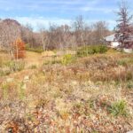 1216 WINTERBERRY Court  Germantown Hills IL 61548