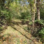 4.2 Acres ZACHARY Avenue  Montpelier IA 52759-8815