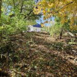 4.2 Acres ZACHARY Avenue  Montpelier IA 52759-8815