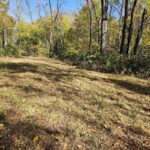 4.2 Acres ZACHARY Avenue  Montpelier IA 52759-8815