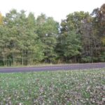 Lot 25 SCHMITT Lane  Edwards IL 61528