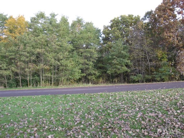 Lot 22 GRACE Lane  Edwards IL 61528