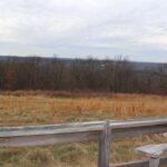 0000 Bruce Johnson Road  Herod IL 62947