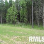 Lot 358 Parrish Ridge Lane  Goreville IL 62939