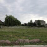 6832 Water Oak Drive  Edwards IL 61528