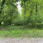 Lot 4 Choctaw Drive  Carbondale IL 62901