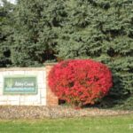 Lot 19 GRACE Lane  Edwards IL 61528
