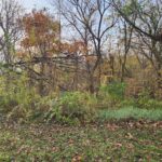 325 & 3 19TH Avenue  Coal Valley IL 61240
