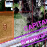 1608 ALBANY Street  Springfield IL 62702