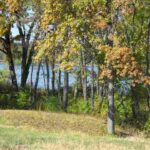 Lot 33 GRANDVIEW Court  Pekin IL 61554