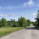 0000 Parrish Ridge Lane  Goreville IL 62939