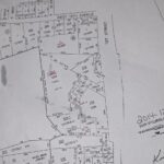 Lot 318