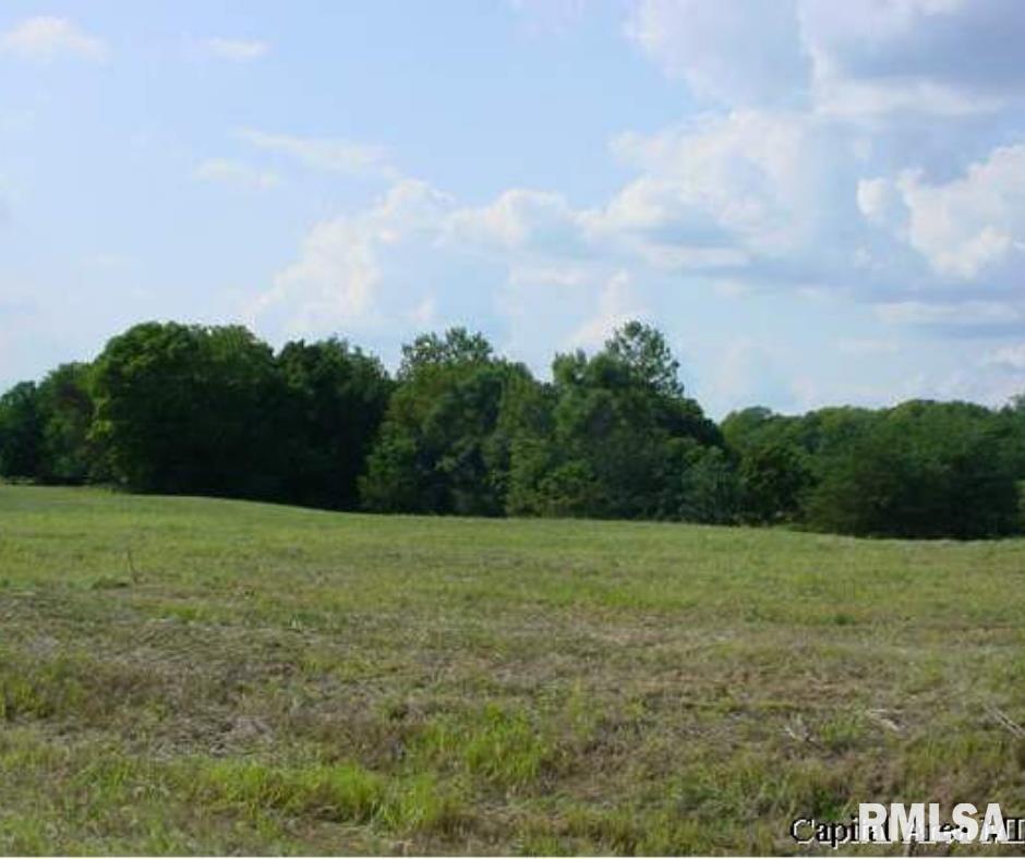 #1 BLUFF Drive  Petersburg IL 62675