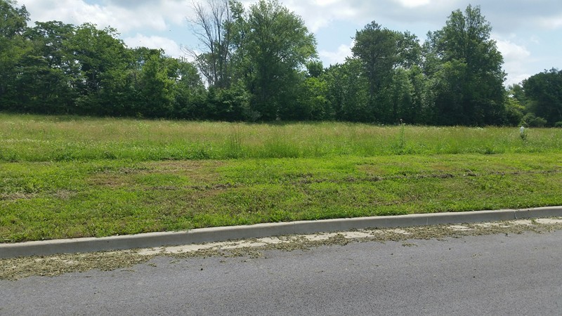 Lot 3 FINANCIAL Park  Carbondale IL 62901