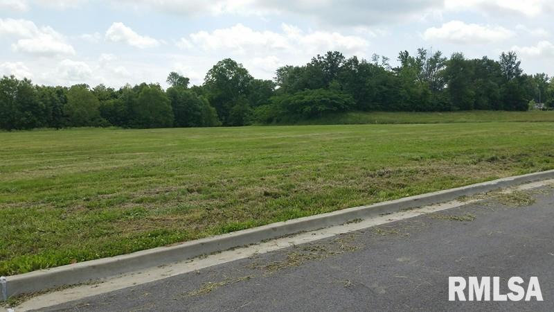 Lot 13 FINANCIAL Loop  Carbondale IL 62901