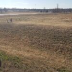 Lot 1 FRONTAGE Road  Crainville IL 62918