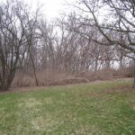 3705 35TH Street  Moline IL 61265