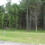 Lot 358 Parrish Ridge Lane  Goreville IL 62939