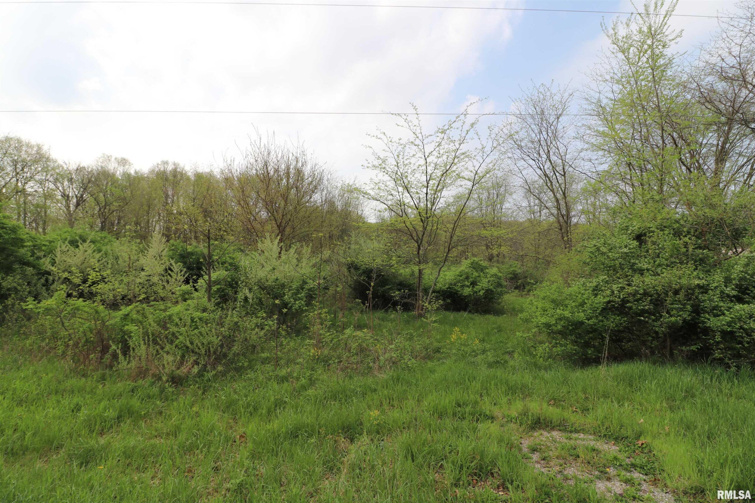 26425 LIBERTY Lane  Washington IL 61571