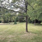 410 CHEROKEE Drive  Goreville IL 62939