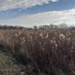 TIMBER Road  Kewanee IL 61443