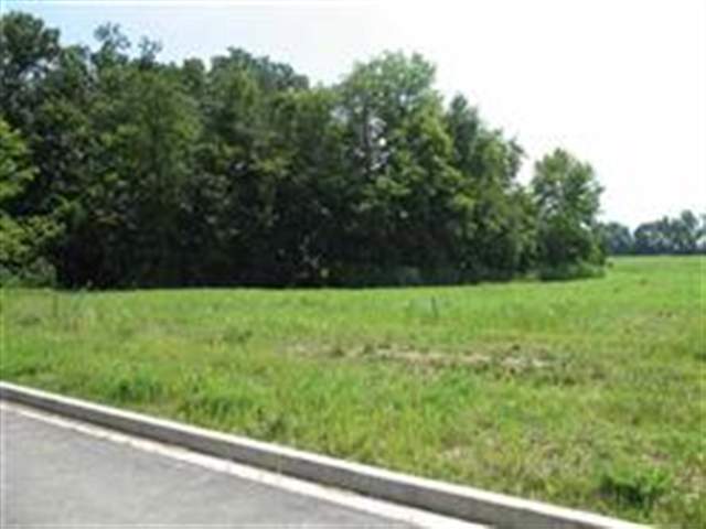 Lot 9 Abigail Drive  East Peoria IL 61611