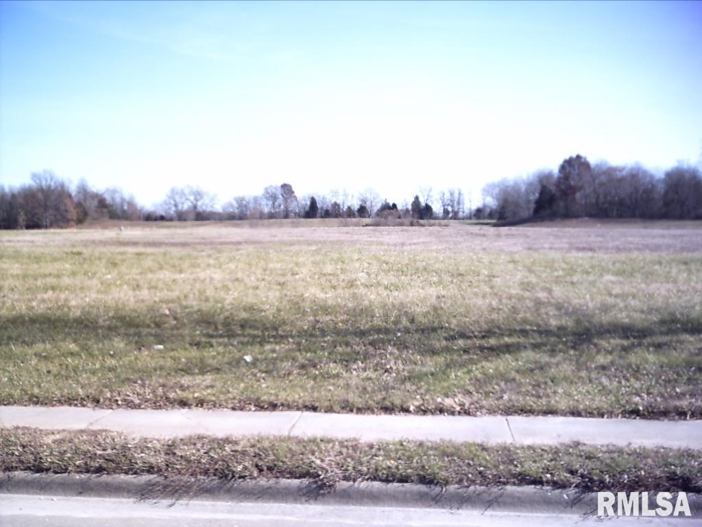 Lot 11 FINANCIAL Drive  Carbondale IL 62901