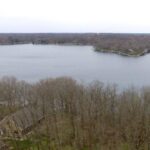 8068 OAK RUN Drive  Dahinda IL 61428