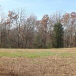 Lot 31 Luxor Landing Lane  Goreville IL 62939