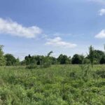 0000 Parrish Ridge Lane  Goreville IL 62939