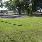905 NORTH Avenue  Flora IL 62839