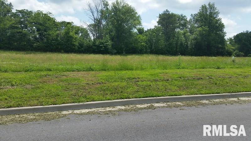 Lot 2 FINANCIAL Park  Carbondale IL 62901