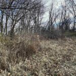 TIMBER Road  Kewanee IL 61443