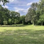 410 CHEROKEE Drive  Goreville IL 62939