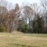 Lot 31 Luxor Landing Lane  Goreville IL 62939