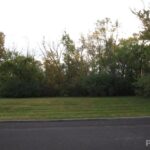 Lot 1 SCHMITT Lane  Edwards IL 61528