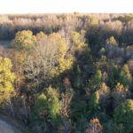 Lot 17 Krystal Lane  Metropolis IL 62960