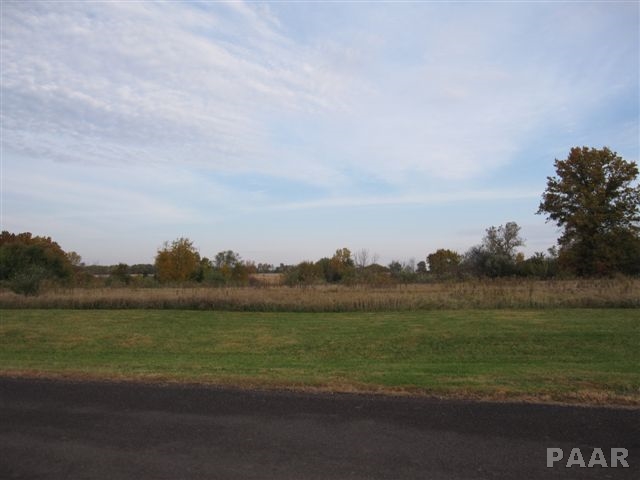 Lot 23 GRACE Lane  Edwards IL 61528