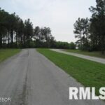 Lot 358 Parrish Ridge Lane  Goreville IL 62939