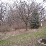 3705 35TH Street  Moline IL 61265