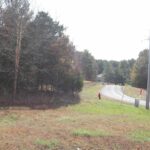 Lot 31 Luxor Landing Lane  Goreville IL 62939