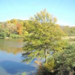 Lot 33 GRANDVIEW Court  Pekin IL 61554