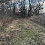 TIMBER Road  Kewanee IL 61443