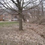 3705 35TH Street  Moline IL 61265