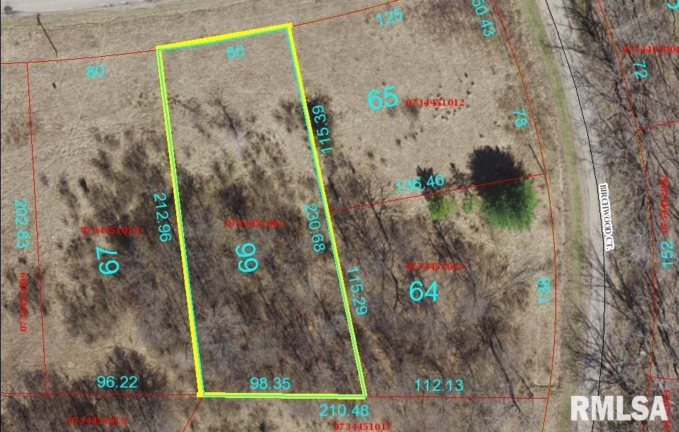 5066 OAK RUN Drive  Dahinda IL 61428