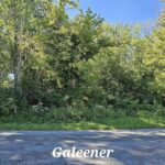 TBD Galeener Street  Vienna IL 62995