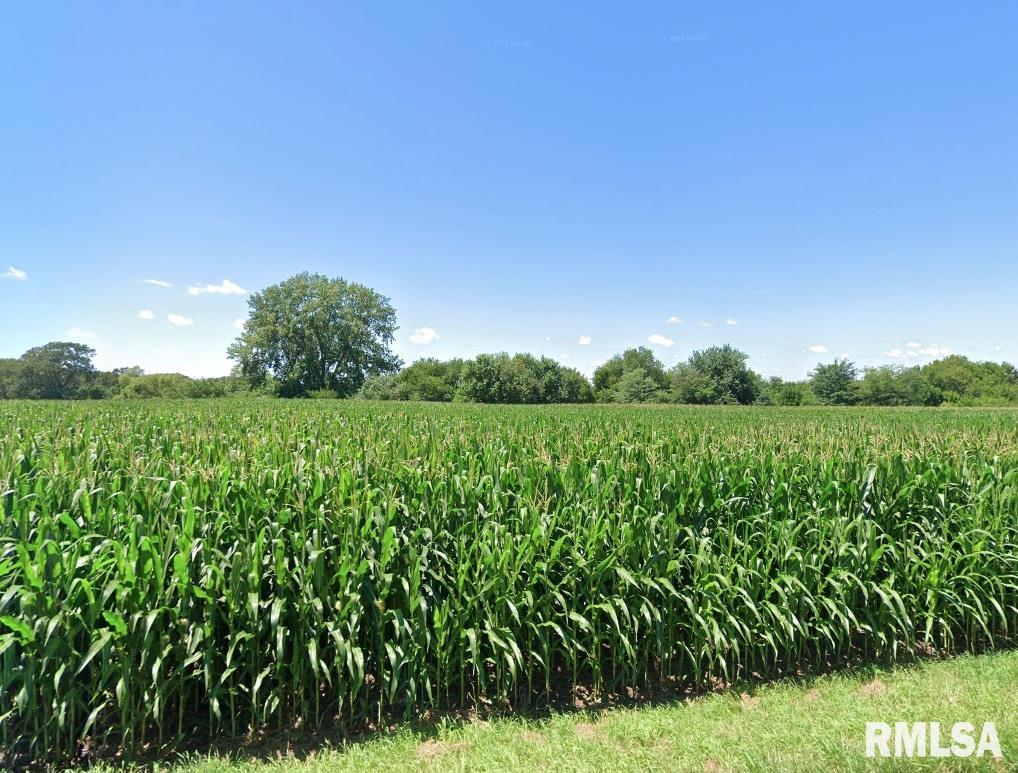 0 Cline Road  Dunlap IL 61525